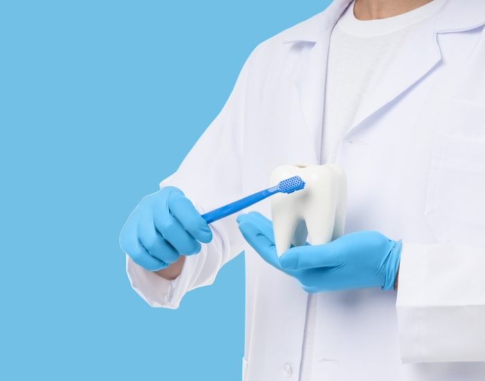 The Ultimate Guide to Your Lower Molar Chewing Tooth: Care, Issues, and Treatments